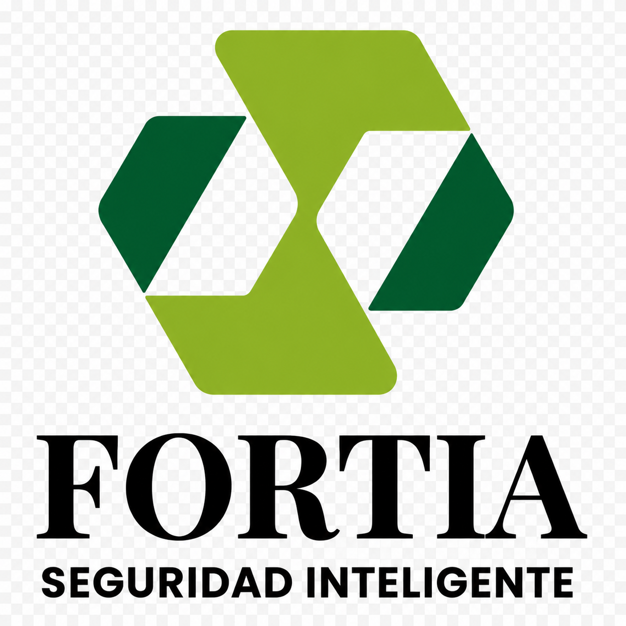 Fortia Seguridad Inteligente
